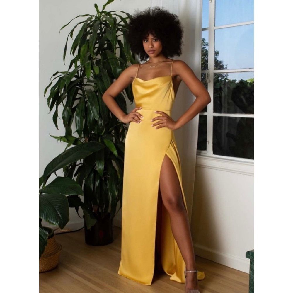 Fame and Partners Rosabel Cowl Neck Gown Size 2